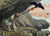 Digital Print - Elijah Fed by the Ravens by James Tissot