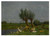 Digital Print - A Duck Family In A Meadow by Constant Artz