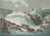 Digital Print - Ve de Houg-Foss by Georg Haas