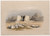 Digital Print - Temple of Tafa, in Nubia. Nov. 16th, 1838. by David Roberts