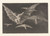 Digital Print - Where There's a Will There's a Way [A Way of Flying] (Donde Hay Ganas Hay Maa [Modo de Volar]) by Francisco de Goya