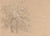 Digital Print - Sunlit Trees Before a Panoramic Landscape by Jean-Antoine Linck