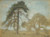 Digital Print - Pine Trees Tyres by Richard Bergh