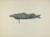 Digital Print - Fish Weather Vane by Sadie Berman