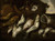 Digital Print - Fish by Abraham van Beijeren Digital Print - Fish by Abraham van Beijeren