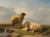 Digital Print - Sheep, Lamb and Ducks by a pond by Eugne Joseph Verboeckhoven