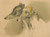 Digital Print - Hunting dogs by Johann Matthias Ranftl
