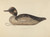 Digital Print - Duck Decoy by Max Fernekes