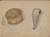 Digital Print - Box and Basket Implement by George B. Wally