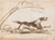 Digital Print - Study of a Hound, Running by Sir Francis Grant
