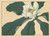 Digital Print - Cucumber tree flowers by Sakai Hoitsu