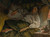 Digital Print - A Reclining Lady by James Tissot