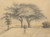 Digital Print - The Trees and Lawn at College and Elm Streets, NewHaven by R. Bakewell