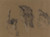 Digital Print - Study of hands by Harry Linley Richardson