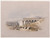 Digital Print - Lateral view of the temple called the Typhonum, at Dendera [Dandara]. by David Roberts