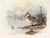 Digital Print - Cape Teal by Allan Brooks