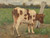 Digital Print - Cow by Geo Poggenbeek