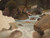 Digital Print - Mountain stream in the forest, sketch by Chrystian Breslauer