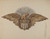 Digital Print - Eagle Emblem by Eva Wilson