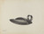 Digital Print - Creamer Skimmer by Amelia Tuccio Digital Print - Creamer Skimmer by Amelia Tuccio