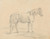 Digital Print - Standing Horse by Sawrey Gilpin