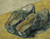 Digital Print - A pair of leather clogs by Vincent van Gogh