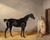 Digital Print - A dark bay hunter with a groom in a stable by William Barraud