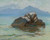Digital Print - The Sorrentia Peninsula from Capri by George Randolph Barse