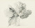 Digital Print - Hydrangeas in a vase by Sergey Chekhonin
