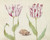 Digital Print - Twee tulpen met schelp en lieveheersbeestje by Jacob Marrel