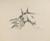 Digital Print - Au temps que Nanette tait perdue by Lon Spilliaert