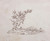 Digital Print - Petite composition avec un arbre by Guillaume Boichot