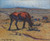 Digital Print - Heiffers by Nils Kreuger Digital Print - Heiffers by Nils Kreuger