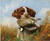 Digital Print - Pointer and Quail by Arthur Fitzwilliam Tait