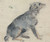 Digital Print - Study of a Dog by David Cox