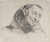 Digital Print - Capuchin Monk by Peter Paul Rubens