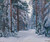 Digital Print - A Snowy Path in the Forest by Stanislav Yulianovich Zhukovsky
