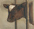 Digital Print - Head of a calf in a cowshed by Floris Verster
