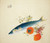Digital Print - Autumn Fattens Fish and Ripens Wild Fruits by Takeuchi Seih