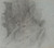 Digital Print - Ensor's Mother by James Ensor
