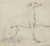 Digital Print - Greyhound by Nicaise De Keyser