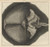 Digital Print - Microscopic view of the eyes and head of a drone-fly by Robert Hooke