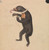 Digital Print - A Sun-Bear by James Sowerby