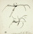 Digital Print - Sketches Related to Painting of Marcus Curtis by Benjamin Robert Haydon