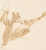 Digital Print - Old Man Holding a Sword, His Left Arm Outstretched by Giovanni Battista Tiepolo