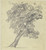 Digital Print - Tree by Jakob Becker