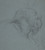 Digital Print - Head of a Bearded Man Looking to Upper Right by Ciro Ferri