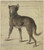 Digital Print - Dog by Philipp Rumpf