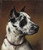 Digital Print - A Great Dane by Carl Reichert