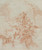 Digital Print - The Assumption of the Virgin by Carlo Carlone